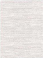 Vinyl Grasscloth Bone Wallpaper AW74510 by Collins and Company Wallpaper for sale at Wallpapers To Go