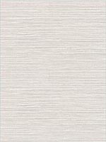 Vinyl Grasscloth Light Greige Wallpaper AW74514 by Collins and Company Wallpaper for sale at Wallpapers To Go