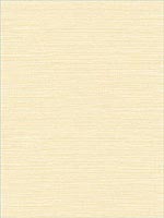 Vinyl Grasscloth French Vanilla Wallpaper AW74523 by Collins and Company Wallpaper for sale at Wallpapers To Go