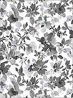 Black Watercolor Floral Wallpaper RMK11236WP by York Wallpaper for sale at Wallpapers To Go