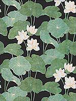 Black Lily Pads Wallpaper RMK11433WP by York Wallpaper for sale at Wallpapers To Go