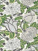 Mitford Green and White Wallpaper T2949 by Thibaut Wallpaper for sale at Wallpapers To Go