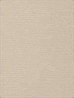 Taluk Sisal Light Taupe Wallpaper T75146 by Thibaut Wallpaper for sale at Wallpapers To Go