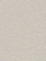 Textile Texture Grey Wallpaper RM80202 by Casa Mia Wallpaper for sale at Wallpapers To Go