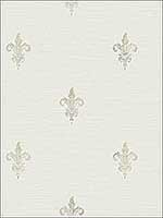 French Lily Soft Grey Wallpaper RM80808 by Casa Mia Wallpaper for sale at Wallpapers To Go