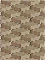 3D Geometric Cube Beige Brown Dark Brown Wallpaper RM40606 by Casa Mia Wallpaper for sale at Wallpapers To Go