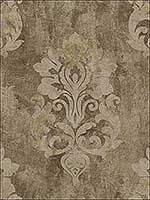 Neoclassic Damask Dark Brown Cream Wallpaper RM41206 by Casa Mia Wallpaper for sale at Wallpapers To Go