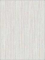 Faux Vertical Finish Soft Grey Wallpaper RM30308 by Casa Mia Wallpaper for sale at Wallpapers To Go