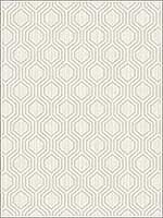 Geometric Hexagon Soft Grey Silver Wallpaper RM30608 by Casa Mia Wallpaper for sale at Wallpapers To Go