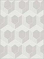 3D Hexagon Soft Grey Wallpaper RM70407 by Casa Mia Wallpaper for sale at Wallpapers To Go