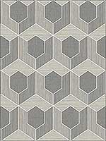 3D Hexagon Grey Wallpaper RM70408 by Casa Mia Wallpaper for sale at Wallpapers To Go