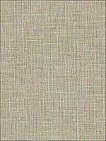 Grasscloth Effect Send Wallpaper RM70706 by Casa Mia Wallpaper for sale at Wallpapers To Go