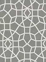 Sculptural Web Grey Wallpaper HC7527 by Ronald Redding Wallpaper for sale at Wallpapers To Go