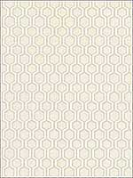 Bee Sweet Tan Wallpaper HC7536 by Ronald Redding Wallpaper for sale at Wallpapers To Go