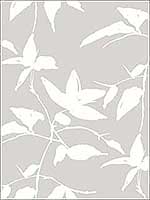 Persimmon Leaf Grey Wallpaper AF6508 by Ronald Redding Wallpaper for sale at Wallpapers To Go