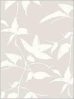 Persimmon Leaf Beige Wallpaper AF6509 by Ronald Redding Wallpaper for sale at Wallpapers To Go