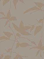 Persimmon Leaf Gold Taupe Wallpaper AF6512 by Ronald Redding Wallpaper for sale at Wallpapers To Go
