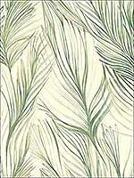 Peaceful Plume Green Wallpaper NA0500 by Candice Olson Wallpaper for sale at Wallpapers To Go