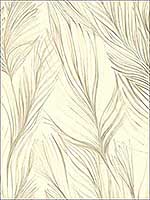 Peaceful Plume Beige Wallpaper NA0502 by Candice Olson Wallpaper for sale at Wallpapers To Go
