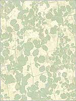 Pressed Leaves Green Wallpaper NA0517 by Candice Olson Wallpaper for sale at Wallpapers To Go