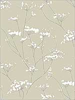 Enchanted Tan Wallpaper NA0599 by Candice Olson Wallpaper for sale at Wallpapers To Go