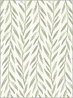 Willow Green Peel and Stick Wallpaper PSW1016RL by Magnolia Home Wallpaper by Joanna Gaines for sale at Wallpapers To Go