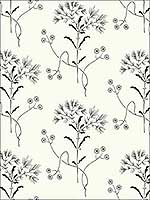Wildflower Black White Peel and Stick Wallpaper PSW1153RL by Magnolia Home Wallpaper by Joanna Gaines for sale at Wallpapers To Go