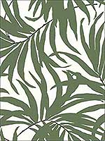 Bali Leaves Green Black Peel and Stick Wallpaper PSW1031RL by York Wallpaper for sale at Wallpapers To Go
