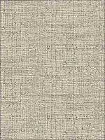 Papyrus Weave Neutral Peel and Stick Wallpaper PSW1039RL by York Wallpaper for sale at Wallpapers To Go