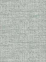 Papyrus Weave Blue Peel and Stick Wallpaper PSW1040RL by York Wallpaper for sale at Wallpapers To Go