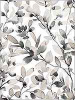 Botany Vines Grey Peel and Stick Wallpaper PSW1086RL by York Wallpaper for sale at Wallpapers To Go