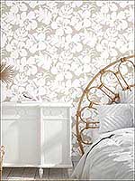Room27998 by York Wallpaper for sale at Wallpapers To Go