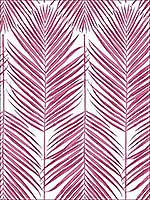 Paradise Palm Cerise Pink Wallpaper NW33001 by NextWall Wallpaper for sale at Wallpapers To Go