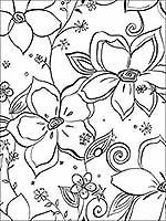 Linework Floral Black and White Wallpaper NW34900 by NextWall Wallpaper for sale at Wallpapers To Go