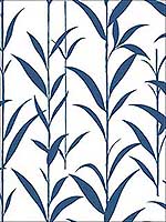Bamboo Leaves Navy Blue and White Wallpaper NW36412 by NextWall Wallpaper for sale at Wallpapers To Go