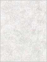 Hereford Light Grey Faux Plaster Wallpaper 292151200 by Warner Wallpaper for sale at Wallpapers To Go