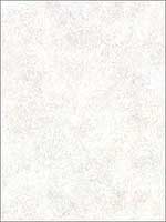 Hereford Cream Faux Plaster Wallpaper 292151207 by Warner Wallpaper for sale at Wallpapers To Go