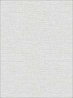 Agave Light Grey Faux Grasscloth Wallpaper 290224278 by A Street Prints Wallpaper for sale at Wallpapers To Go