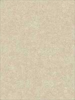 Duchamp Champagne Metallic Texture Wallpaper 292225361 by A Street Prints Wallpaper for sale at Wallpapers To Go