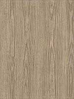 Tanice Light Brown Faux Wood Texture Wallpaper 292243056Z by A Street Prints Wallpaper for sale at Wallpapers To Go