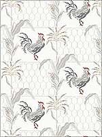 Hank Grey Rooster Wallpaper 311913021 by Chesapeake Wallpaper for sale at Wallpapers To Go