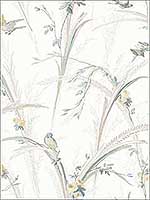 Meadowlark Light Grey Botanical Wallpaper 311919329 by Chesapeake Wallpaper for sale at Wallpapers To Go