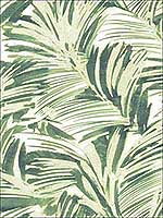 Chaparral Green Fronds Wallpaper 312013712 by Chesapeake Wallpaper for sale at Wallpapers To Go