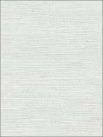 Waverly Aqua Faux Grasscloth Wallpaper 3120256016 by Chesapeake Wallpaper for sale at Wallpapers To Go
