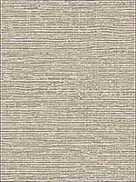 Vivanta Taupe Texture Wallpaper 294960408 by A Street Prints Wallpaper for sale at Wallpapers To Go
