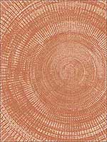 Lalit Burnt Sienna Medallion Wallpaper 294961105 by A Street Prints Wallpaper for sale at Wallpapers To Go