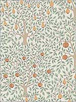 Pomona Multicolor Fruit Tree Wallpaper 294833011 by A Street Prints Wallpaper for sale at Wallpapers To Go