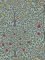 Pomona Green Fruit Tree Wallpaper 294833014 by A Street Prints Wallpaper for sale at Wallpapers To Go