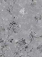 Misty Charcoal Distressed Dandelion Wallpaper 290400306 by Brewster Wallpaper for sale at Wallpapers To Go