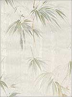 Atlis Neutral Bamboo Wallpaper 290405018 by Brewster Wallpaper for sale at Wallpapers To Go